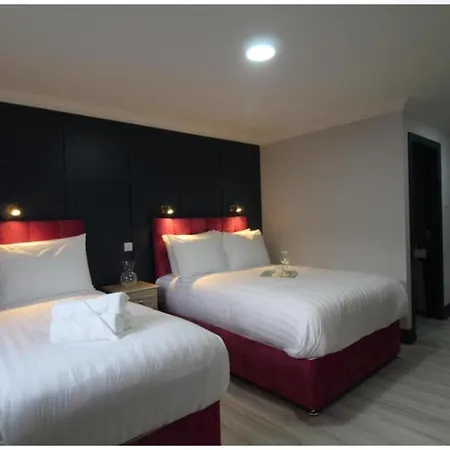 Dutch Tulip N20 3* Mallow