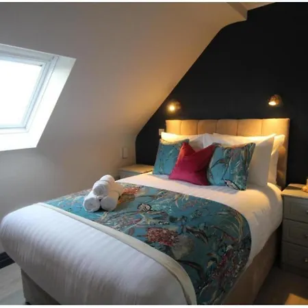 Dutch Tulip N20 Mallow