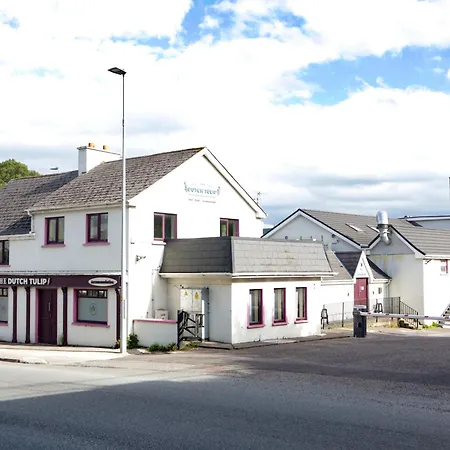 Bed & Breakfast Dutch Tulip N20 3*